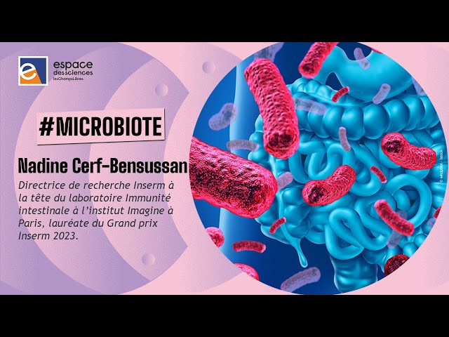 Microbiote et immunité