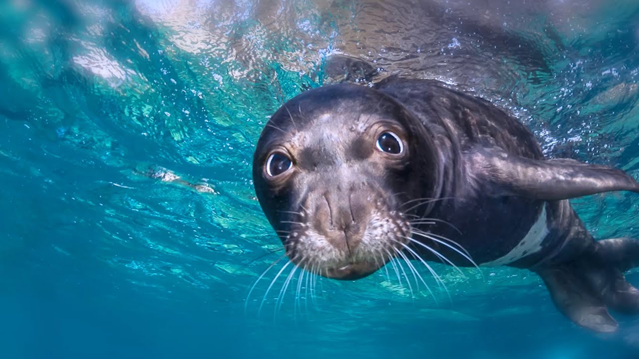 La Méditerranée, un trésor naturel en péril