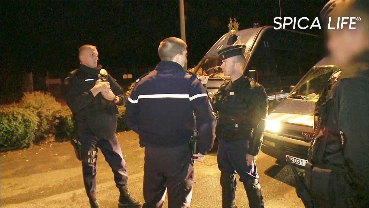 Délinquance rurale : gendarmes en action