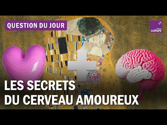 Documentaire Dopamine, ocytocine : comment l’amour contrôle notre cerveau