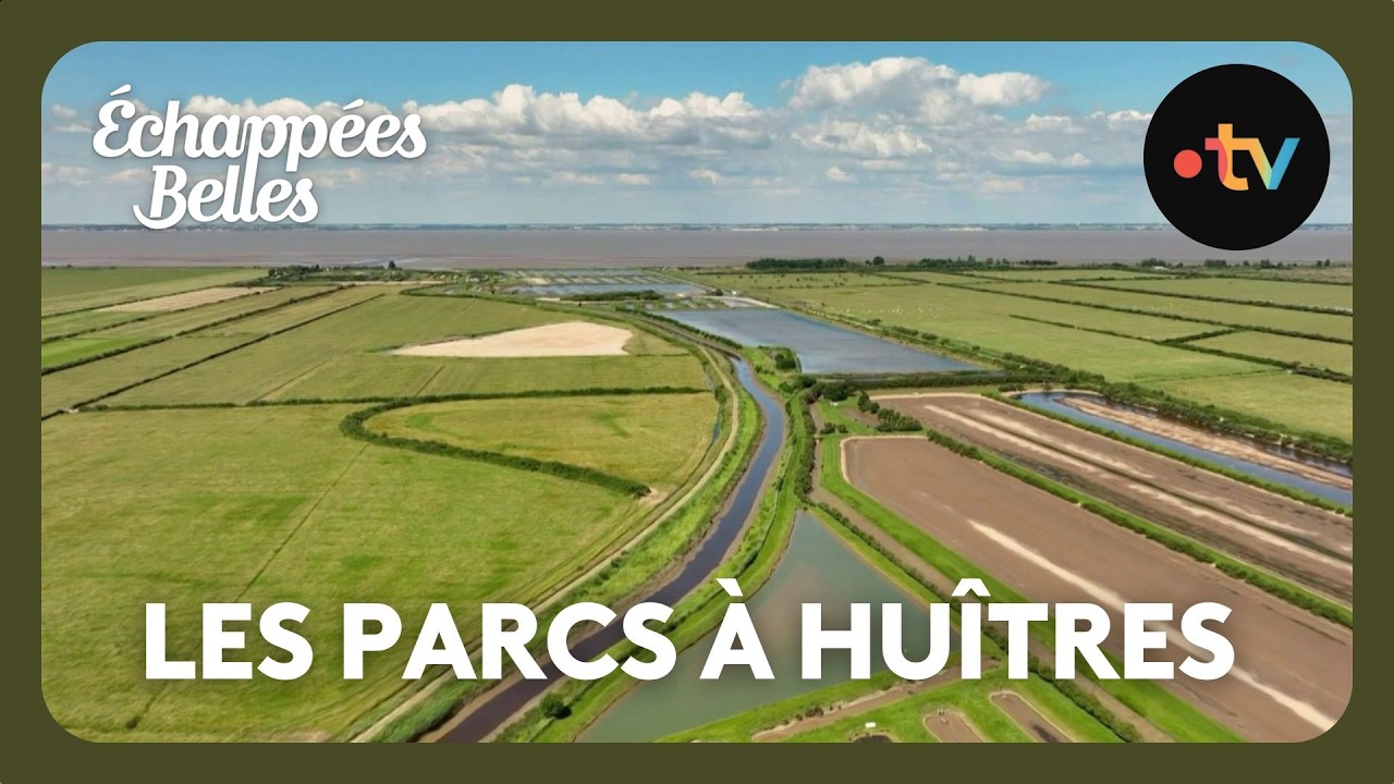 En Nouvelle-Aquitaine : un parc à huîtres entre terre et mer