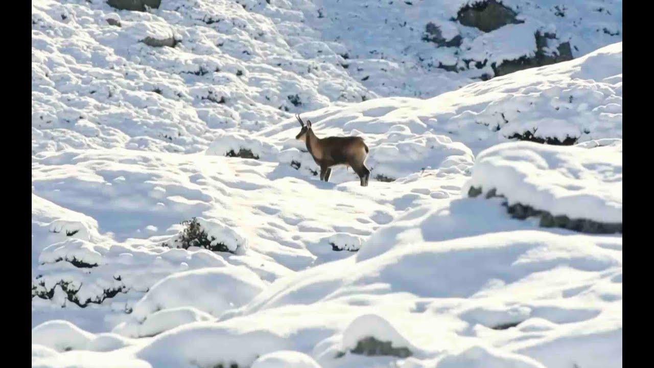 Hautes-Pyrénées - L’esprit Parc National