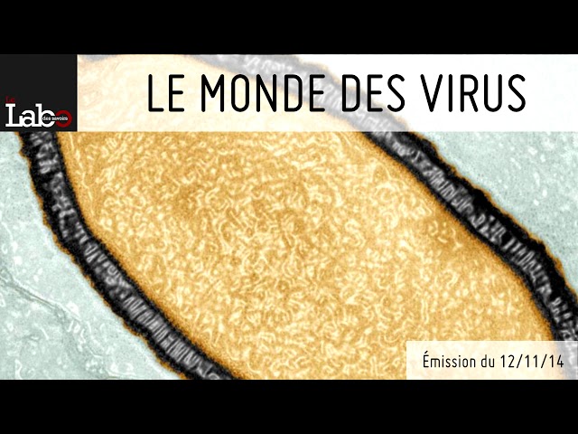 Le monde des virus