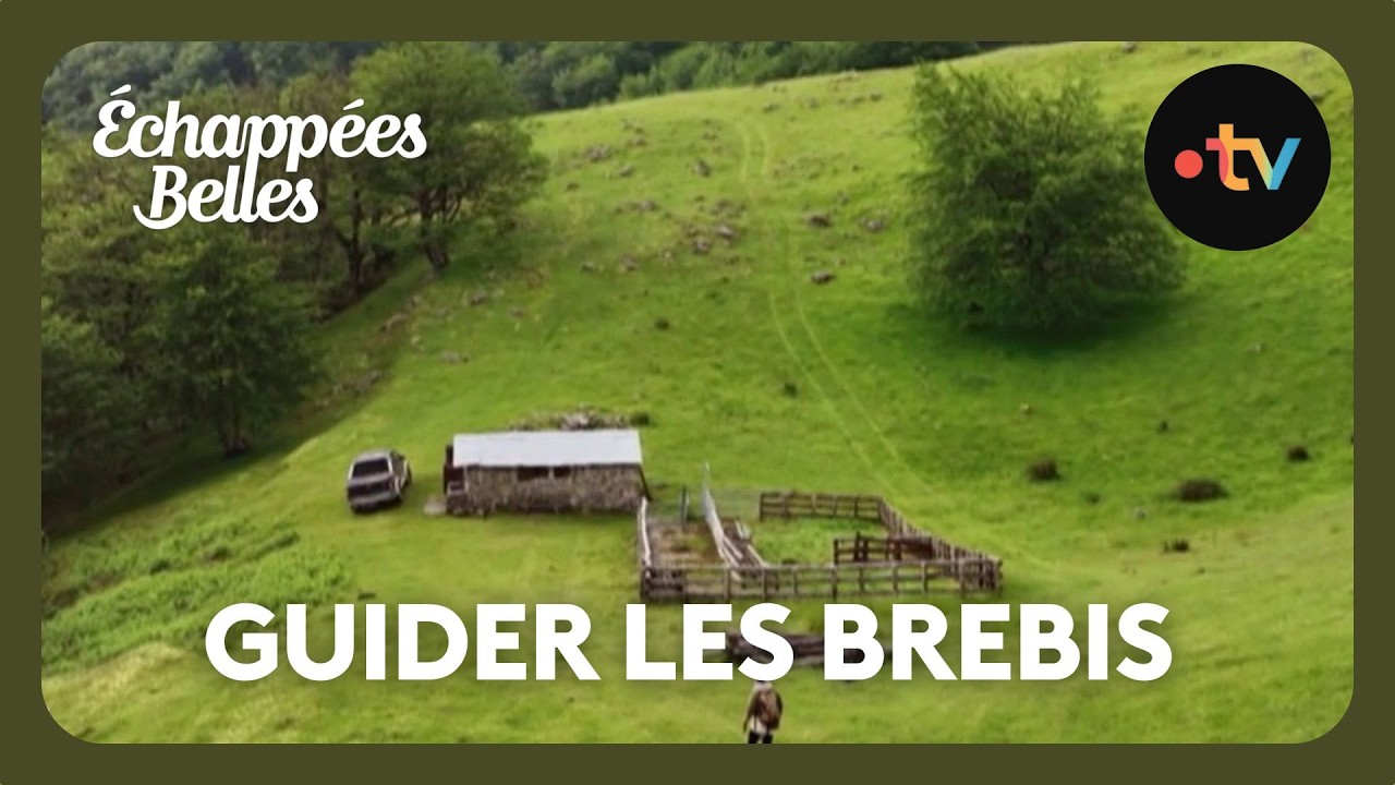 Les fermes de Nouvelle-Aquitaine : la bergerie de Miren