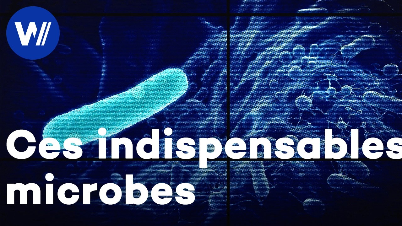 Les microbes sont partout - et ils sont essentiels à la vie humaine et animale sur Terre