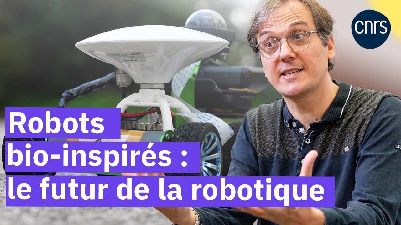 Les nouveaux robots bioinspirés