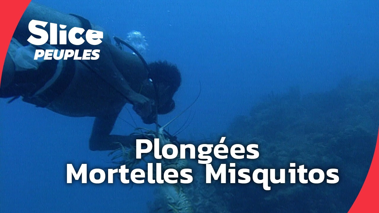 Documentaire Misquitos : plongées mortelles pour survivre