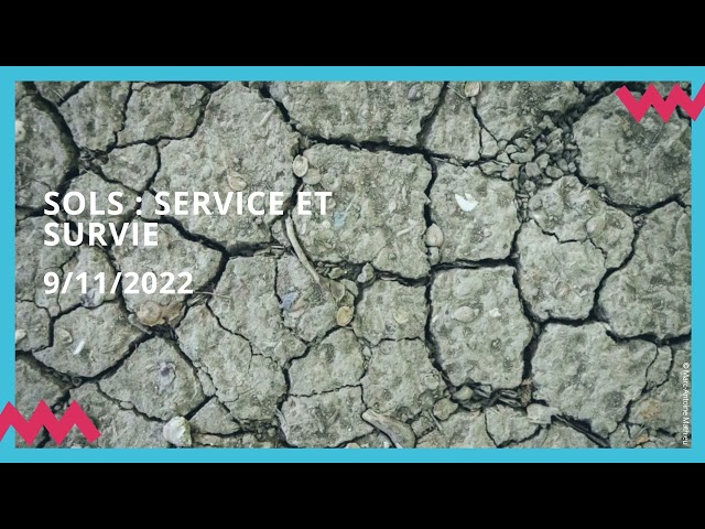 Sols : services et survie