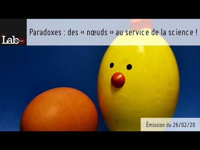 Paradoxes : des nœuds au service de la science !