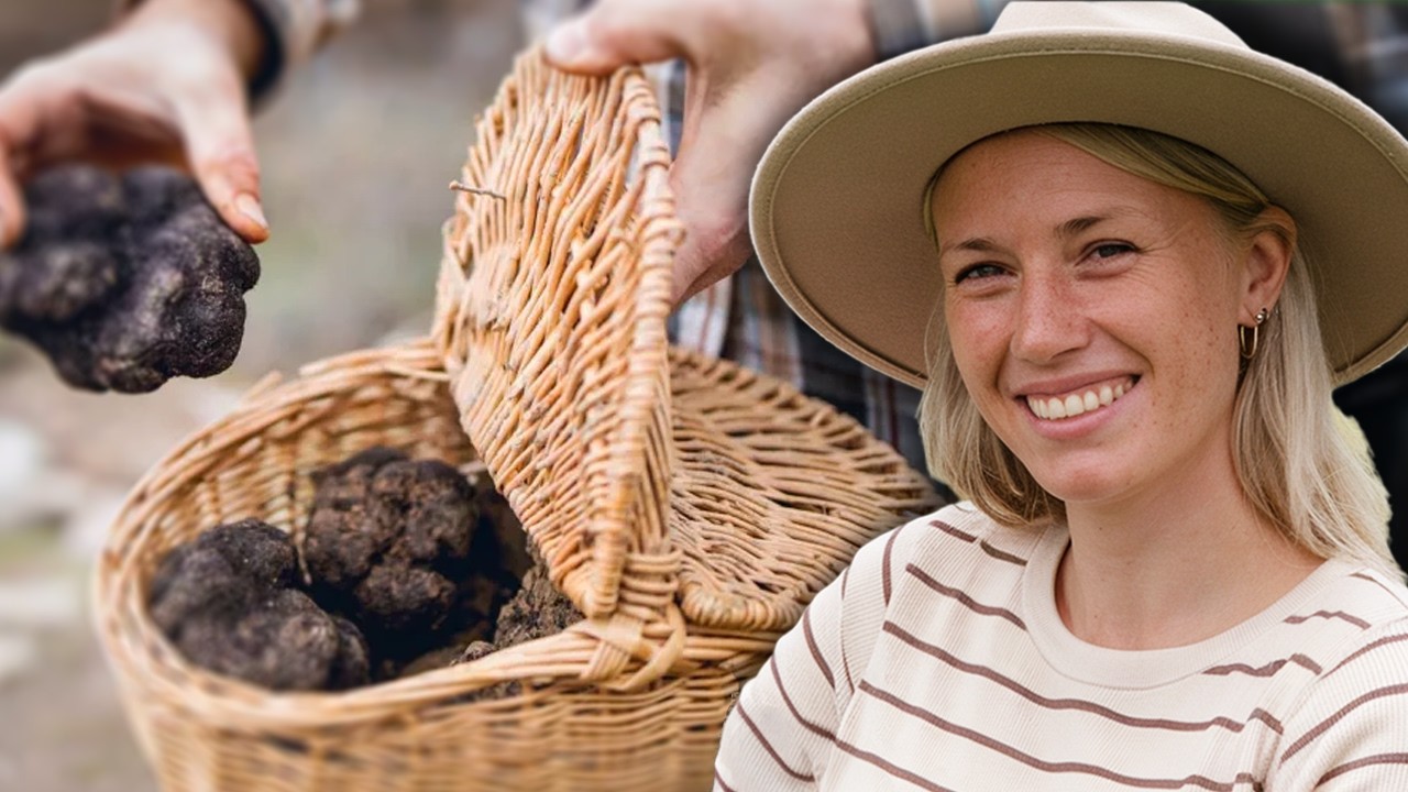 Truffes : voyage culinaire à la découverte du diamant noir