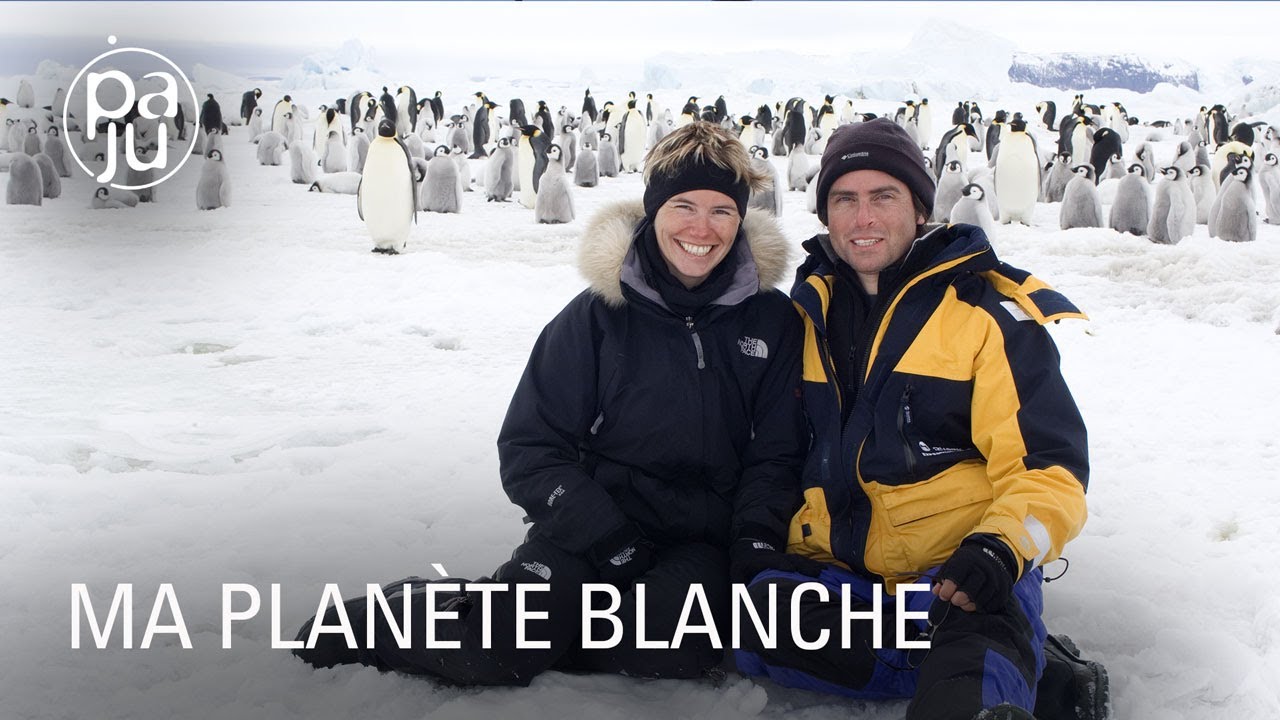 Une photographe et son mari aquarelliste saisissent la beauté pure du monde sauvage de l'Antarctique