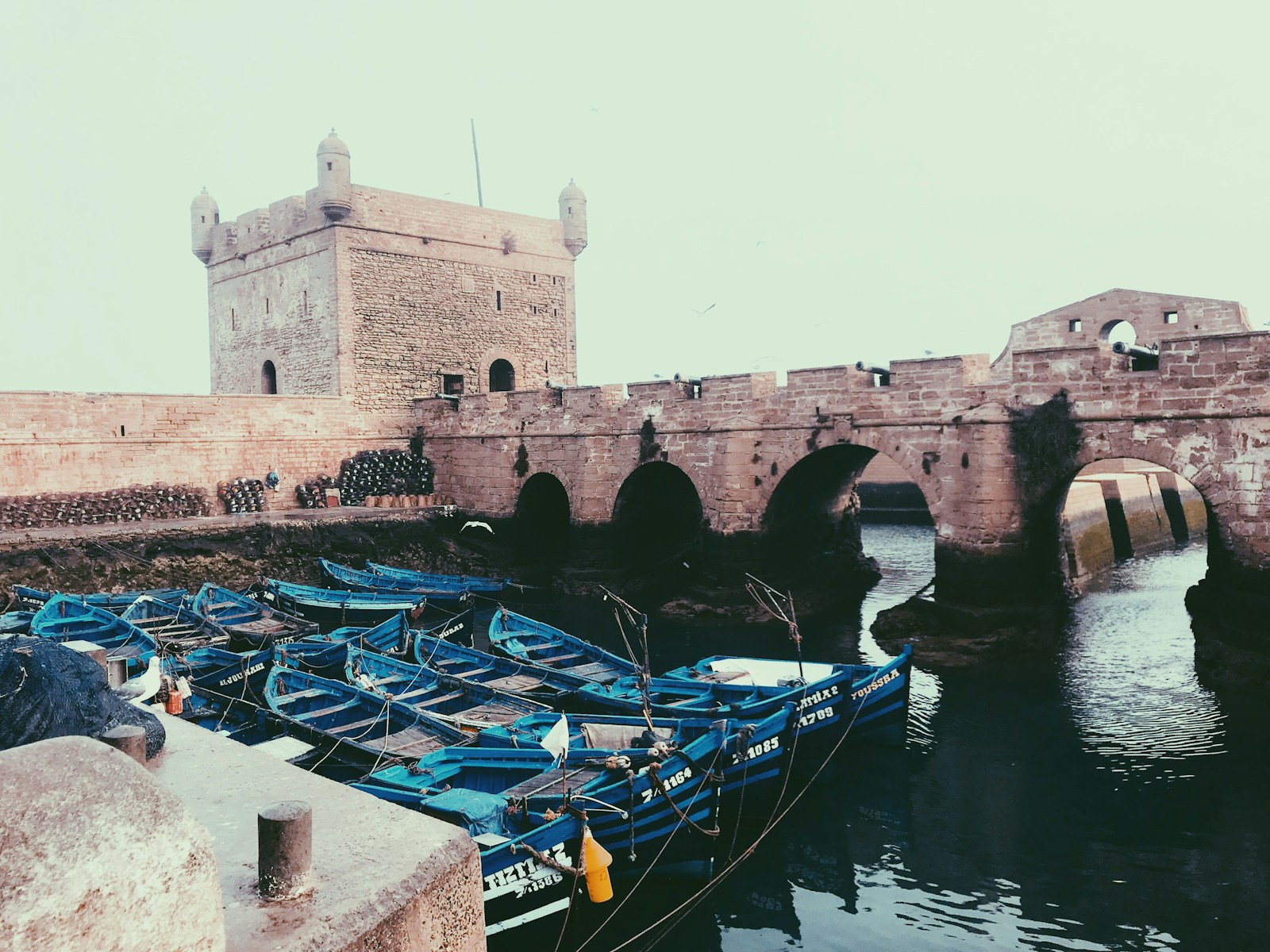 Essaouira, havre maritime de créativité et d'exploration