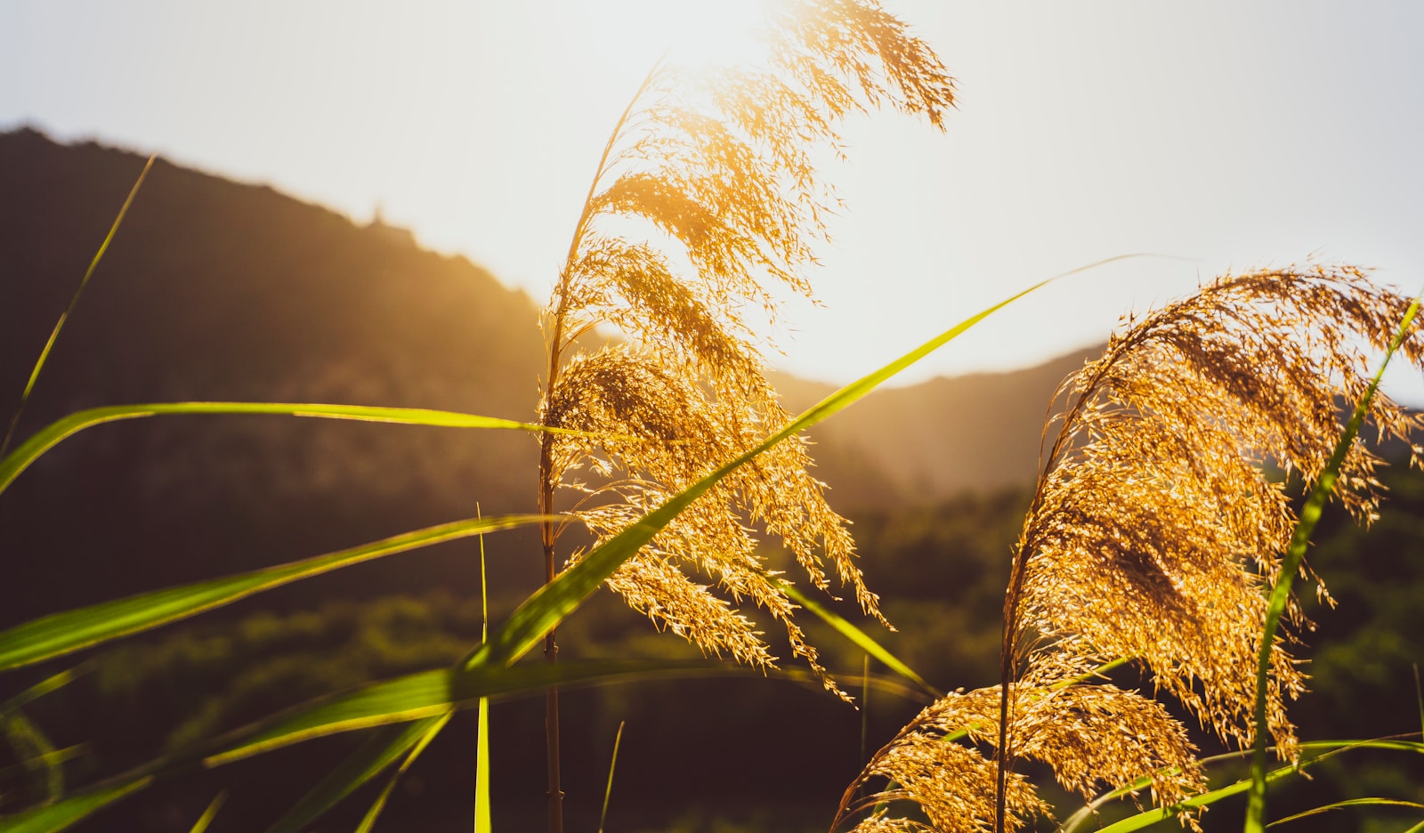 Le soleil joue un rôle primordial dans la création des différences de température à la surface de la Terre, ce qui, à son tour, génère des variations de pression dans l’atmosphère.