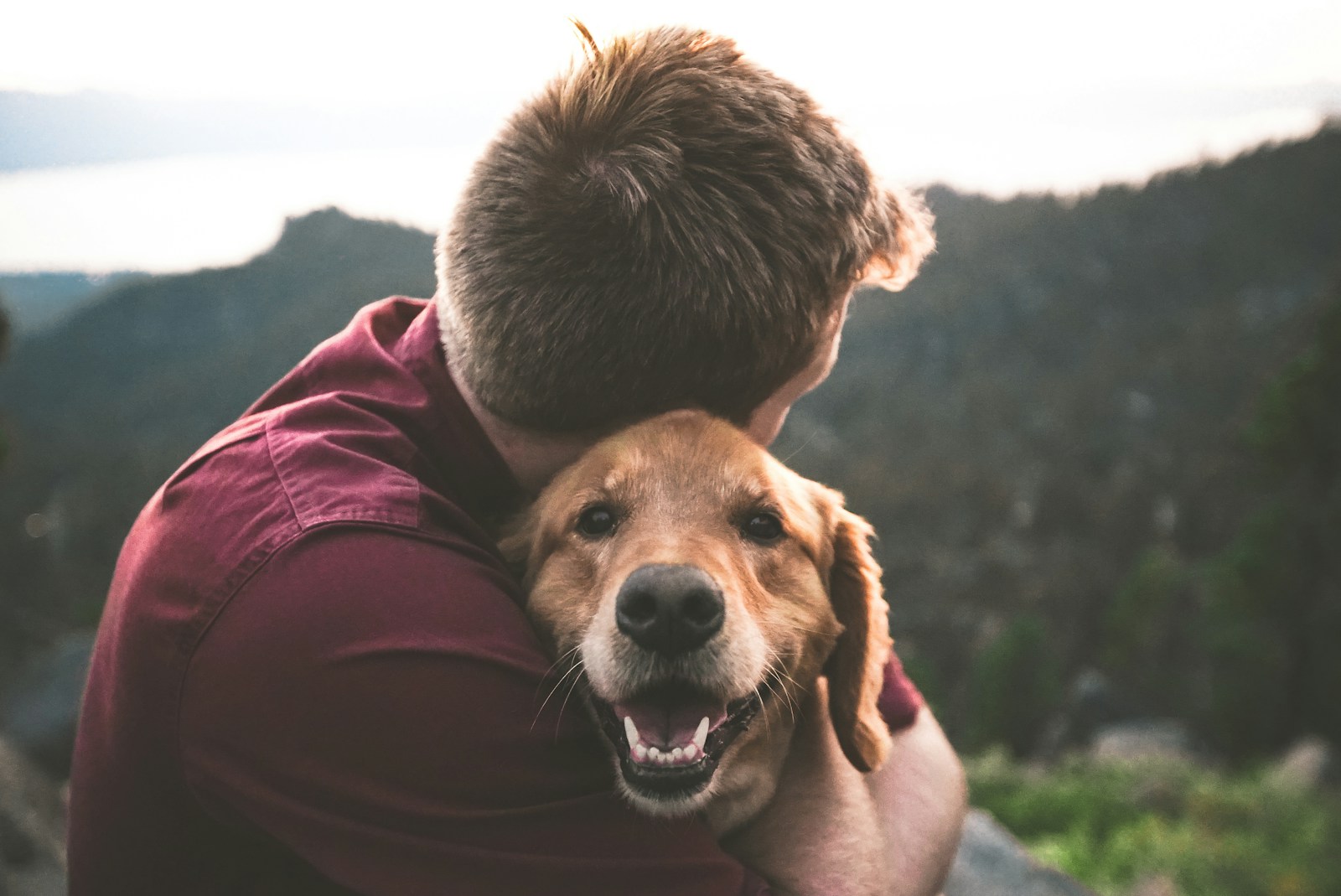 Les promenades ne sont pas seulement des sorties pour faire les besoins.