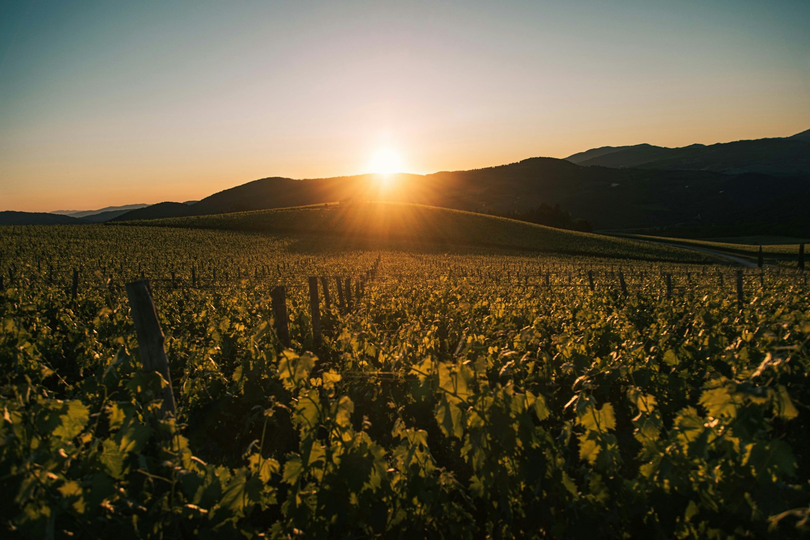 L’été en Toscane, de juin à août, attire de nombreux voyageurs venus du monde entier.