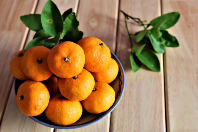 Article | Mandarines, clémentines et oranges : quels trésors cachent ces agrumes ?