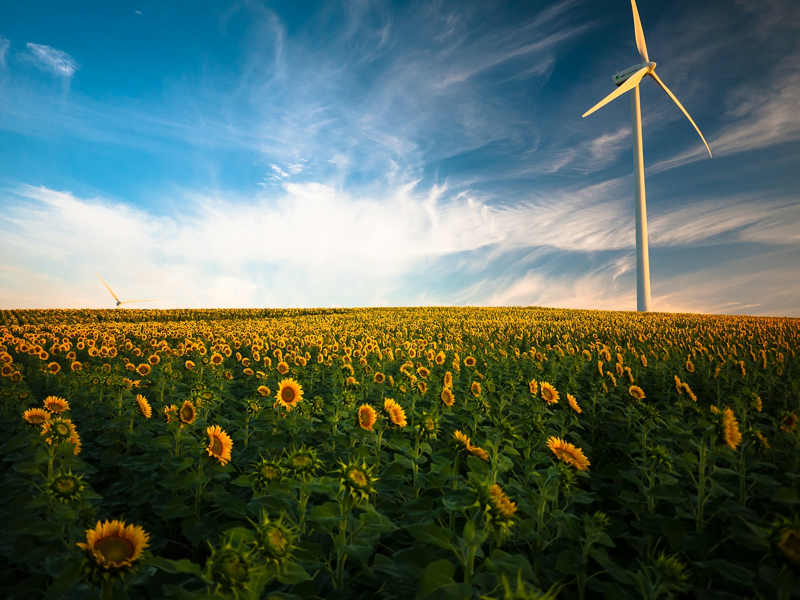 Outre ses implications climatiques, le vent est aujourd’hui une ressource stratégique dans le domaine de l’énergie renouvelable.