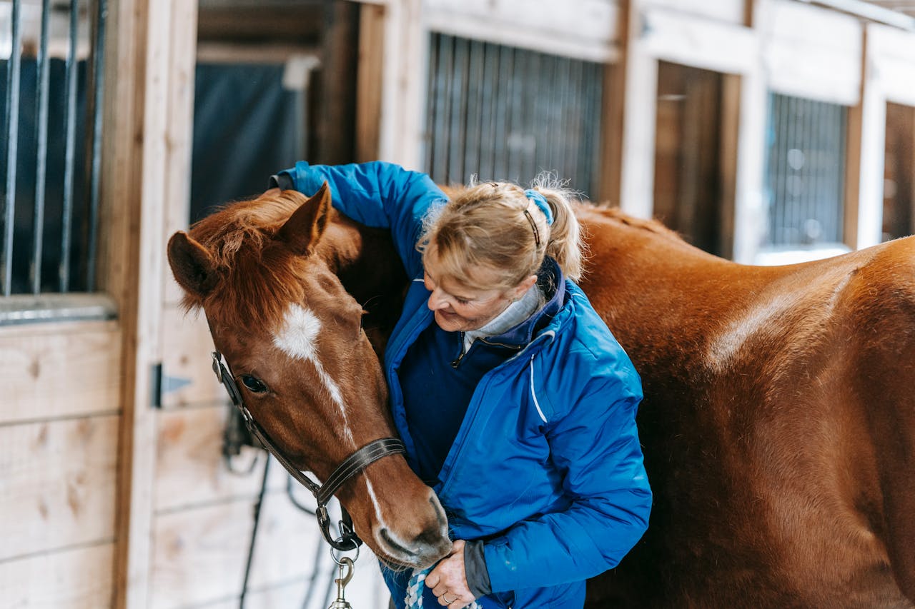 Les indispensables de la trousse de soins pour chevaux