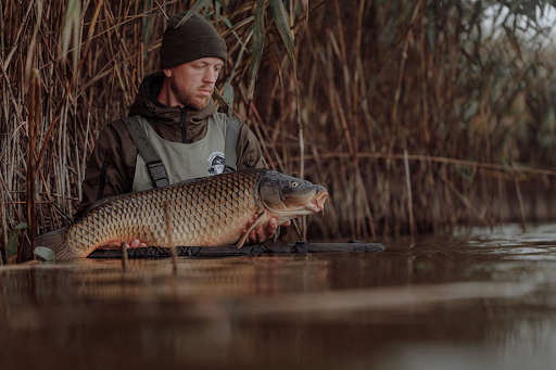 Article | Comment choisir ses carpes pour son étang ?