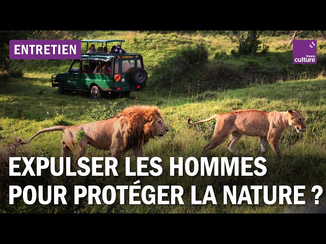 Colonialisme vert : protéger la nature… mais à quel prix ?