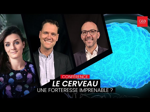 Le cerveau : une forteresse imprenable ?