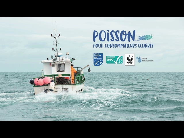 Poisson... pour consommateurs éclairés