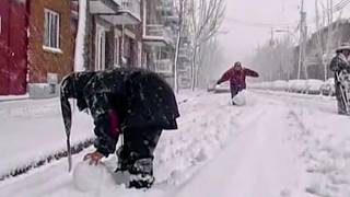 Montréal, une vie comme on l'aime !