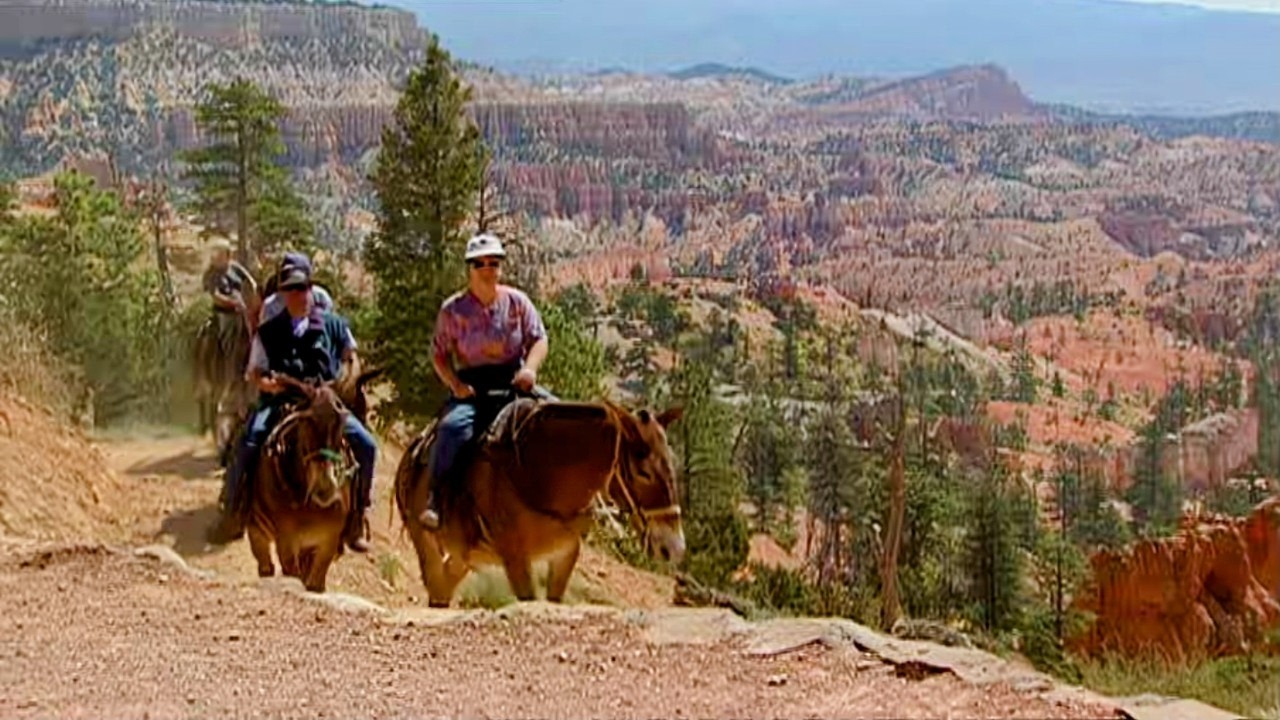 Documentaire Parcs nationaux du Far West : nature, couleurs, grandeur