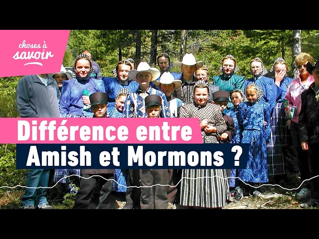 Quelle est la différence entre Mormons et Amish ?