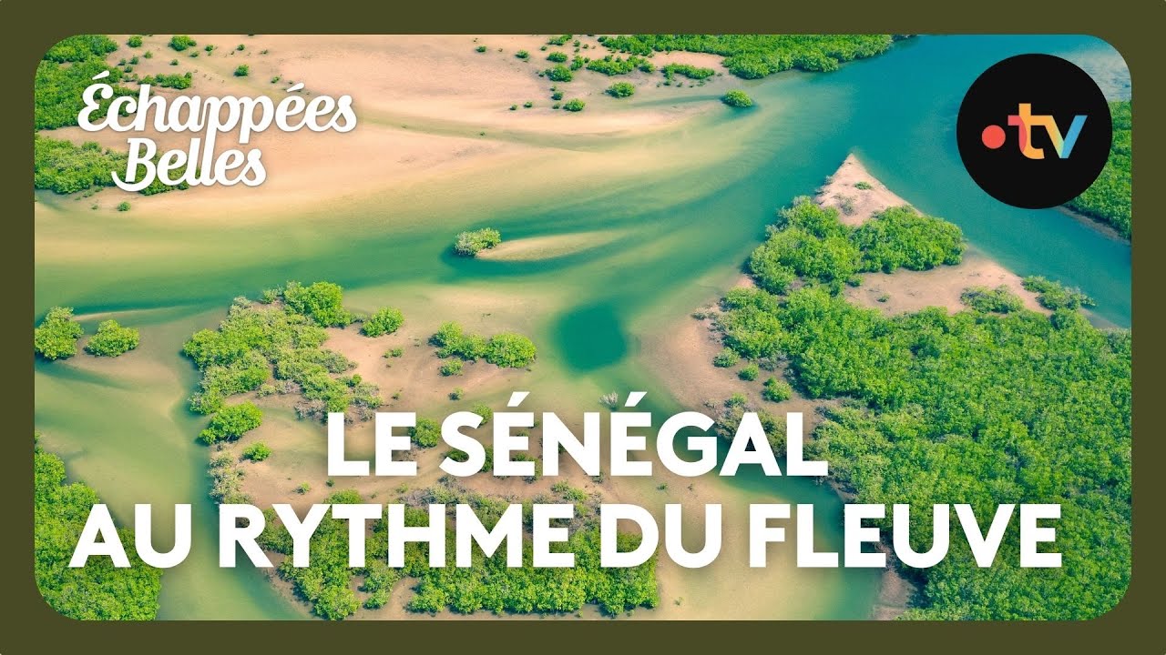 Sénégal, au rythme du fleuve