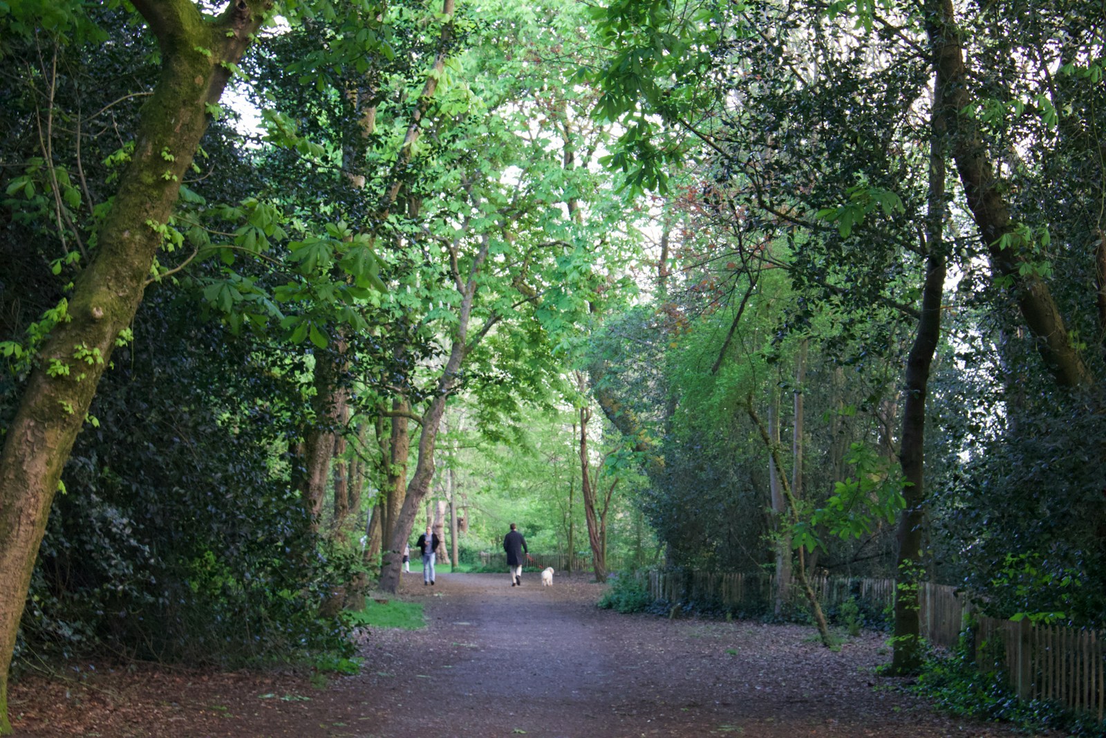 À quelques pas de l'agitation de Portobello Road, Holland Park constitue un véritable havre de paix au cœur de Londres.