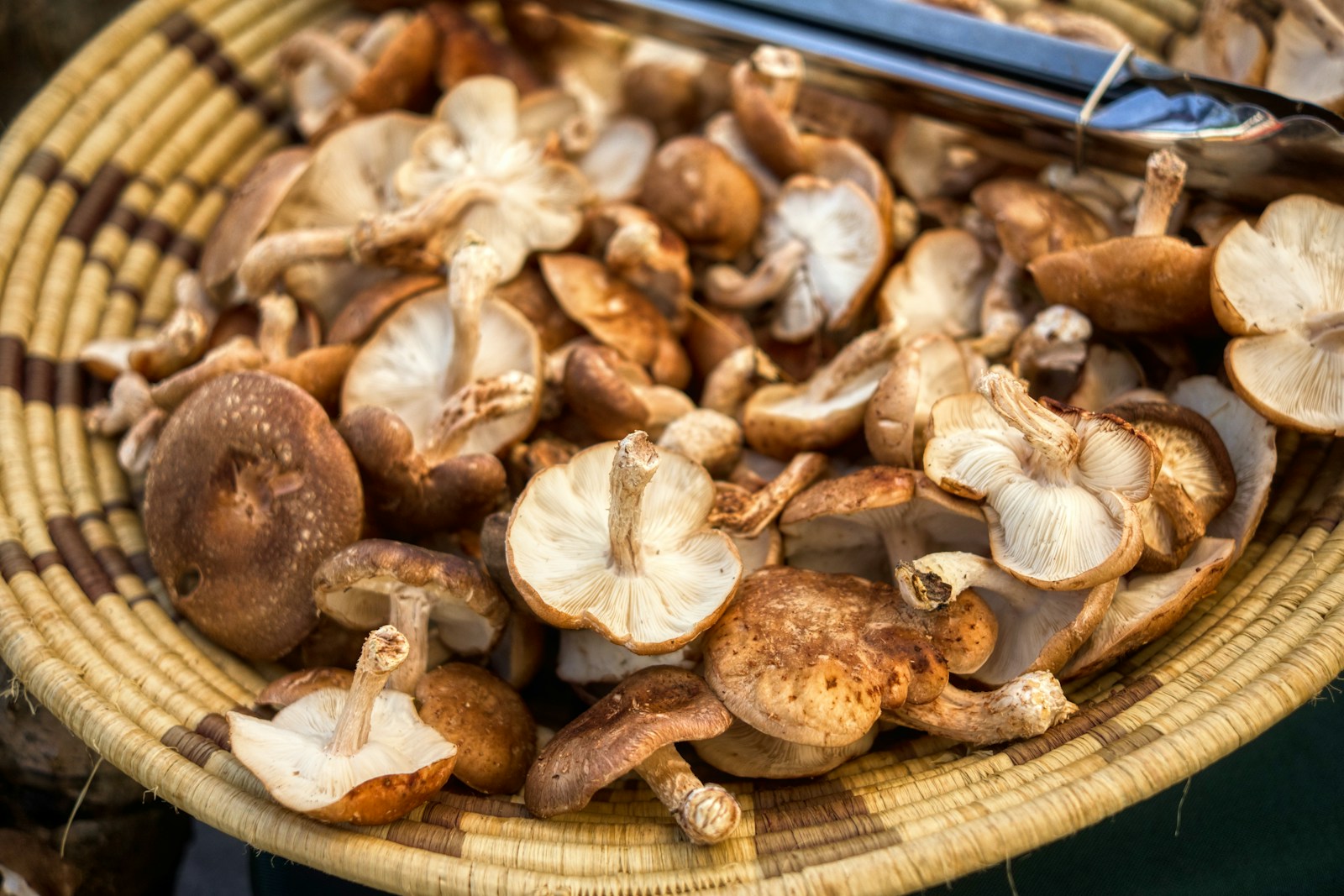 Avant de les cuisiner, il est essentiel de bien les sélectionner et de les préparer correctement.