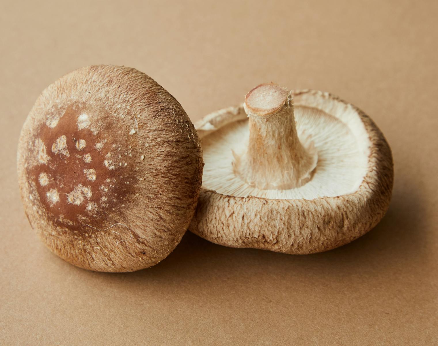 Documentaire Comment cuisiner les shiitake ?