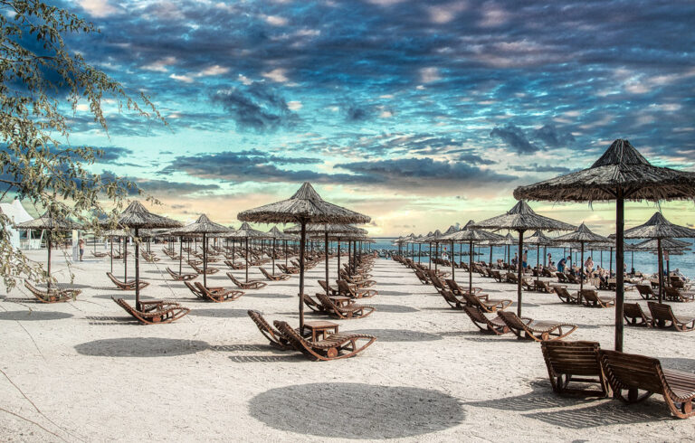 Article | Direction Sir Bani Yas, l’envoûtante île d’Abu Dhabi