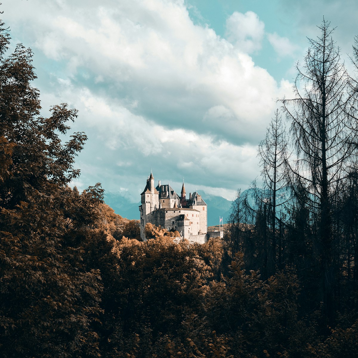 Dominant le lac d’Annecy depuis plus de 1 000 ans, le château de Menthon-Saint-Bernard est une véritable plongée dans l’histoire. Cette forteresse médiévale, toujours habitée par la même famille, se visite d’avril à octobre.