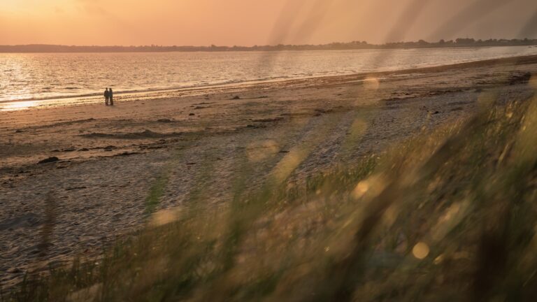 Article | Exploration de l’île de Noirmoutier