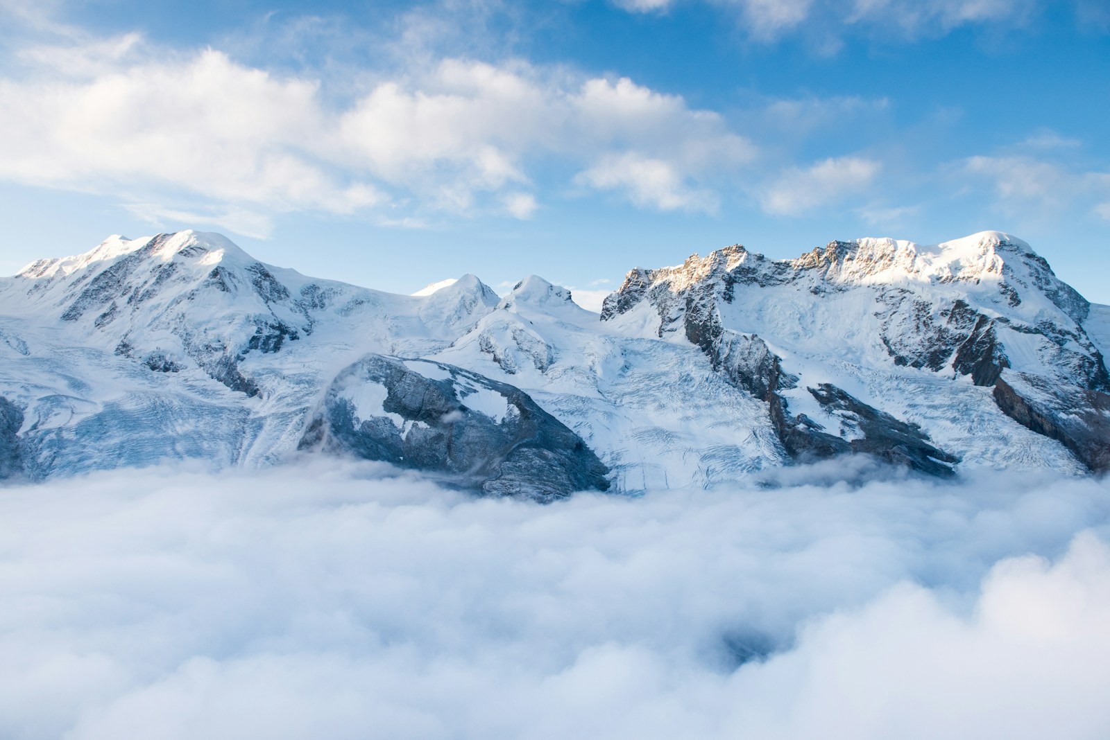 La biodiversité subit également les conséquences de la fonte des glaciers.