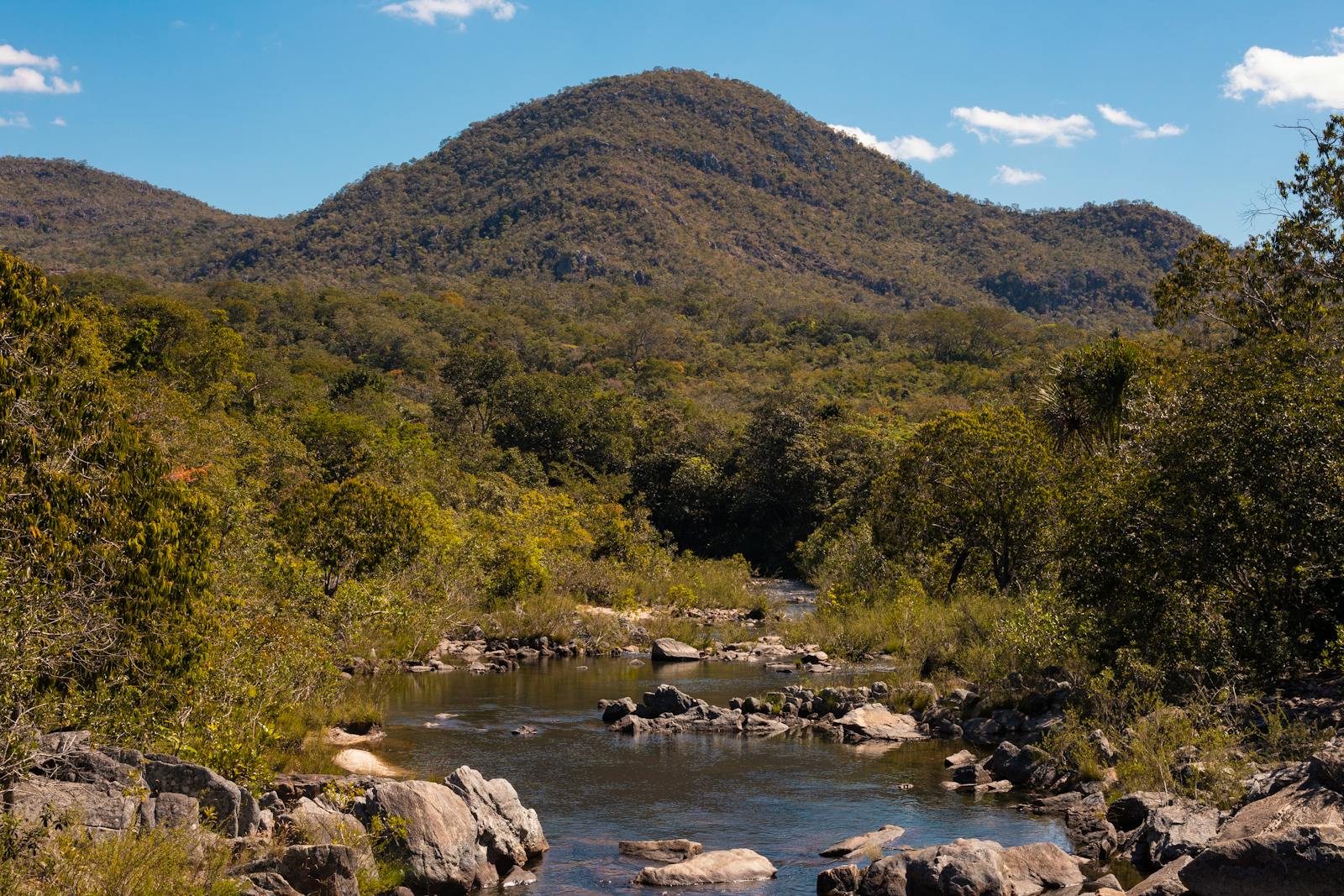 Le Cerrado est confronté à des menaces croissantes, principalement dues à l'expansion agricole.