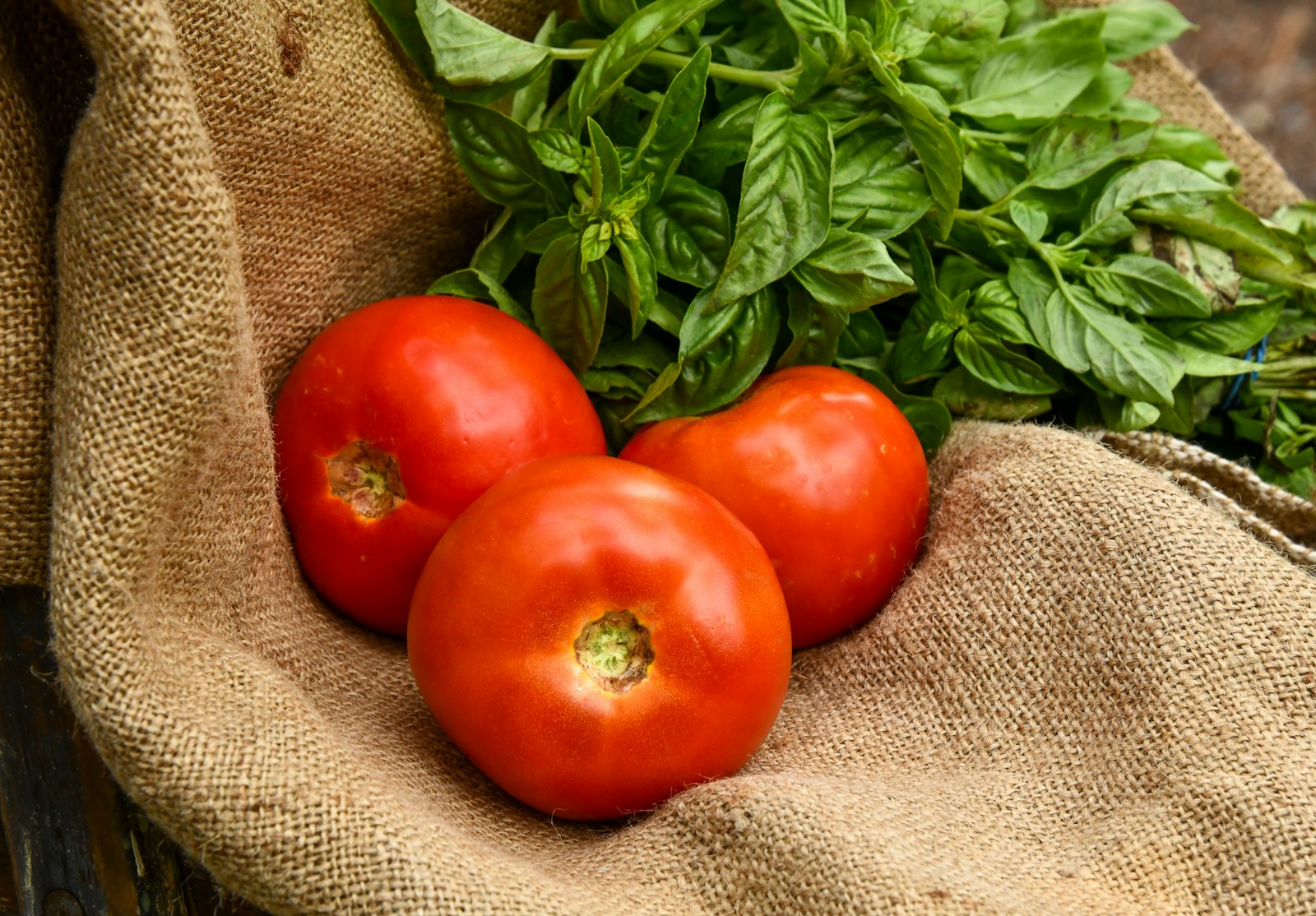 Sanremo, comme toute la Ligurie, est fière de ses traditions culinaires.