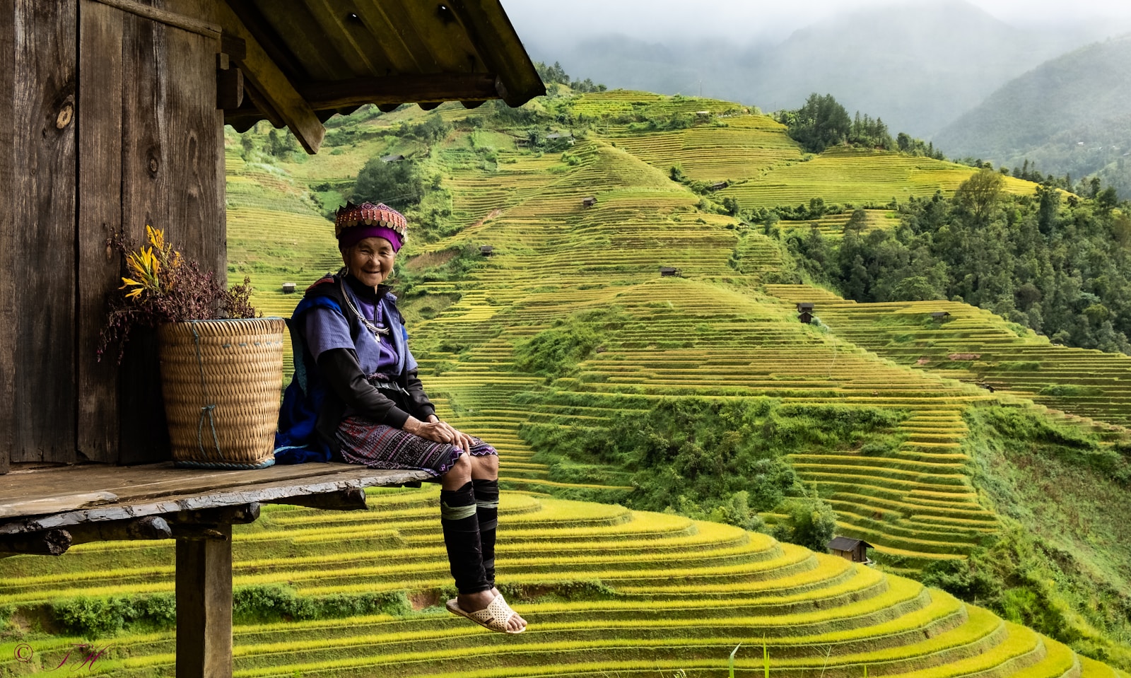 Voyage paisible à travers le Vietnam : journal de bord